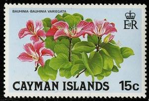 Stamp, Bauhinia, Cayman Islands,  , Flowers