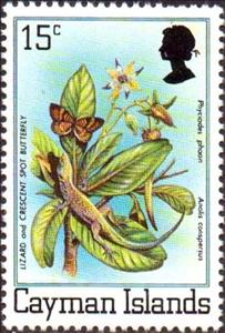 Stamp, Phyciodes phaon, Cayman Islands,  , Lizards, Butterflies