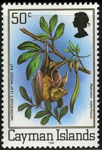 Stamp, Waterhouse's Leaf-nosed Bat (Macrotus waterhousii), Cayman Islands,  