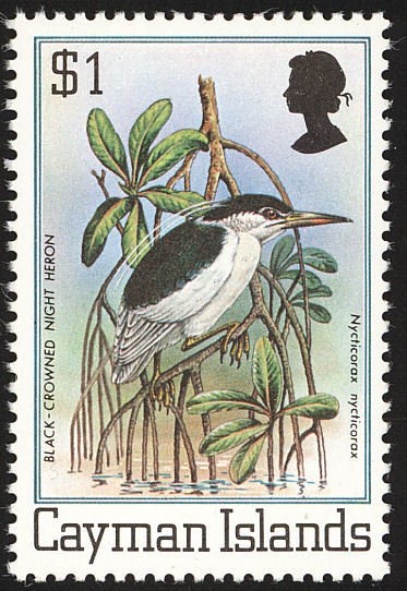 Black-crowned Night-heron (Nycticorax nycticorax)