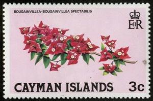 Stamp, Bougainvillea, Cayman Islands,  , Flowers