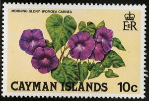 Stamp, Morning Glory, Cayman Islands,  , Flowers