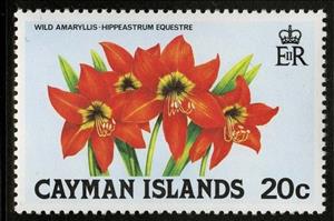 Stamp, Wild Amaryllis, Cayman Islands,  , Flowers