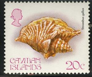 Stamp, Rooster Conch (Strombus gallus), Cayman Islands,  , Shells