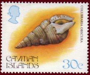 Stamp, Obscure Dwarf Triton (Colubraria obscura), Cayman Islands,  , Shells