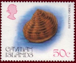 Stamp, See Snail (Turbo cailletii), Cayman Islands,  , Shells