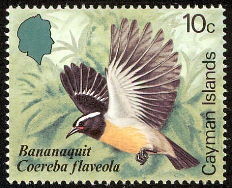 Bananaquit (Coereba flaveola)