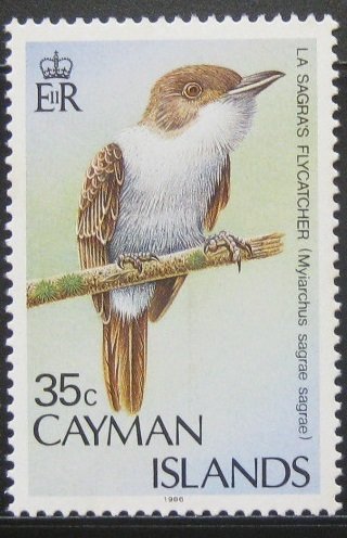 La Sagra's Flycatcher (Myiarchus sagrae) 