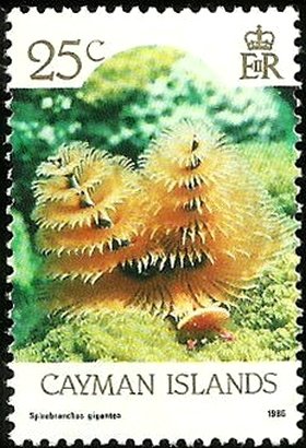 Stamp, Christmas Tree Worm (Spirobranchus gigantea), Cayman Islands,  