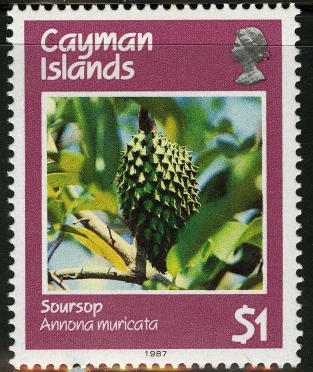 Soursop