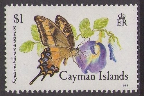 Bahamian Swollowtail (Papilio andraemon andraemon)