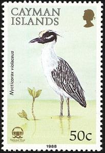 Stamp, Yellow-crowned Night Heron (Nycticorax violaceus), Cayman Islands,  , Birds