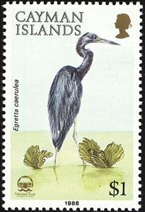 Stamp, Little Blue Heron (Egretta caerulea), Cayman Islands,  , Birds