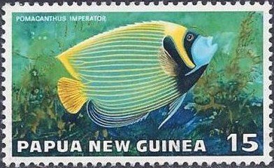 Emperor Angelfish (Pomacanthus imperator)