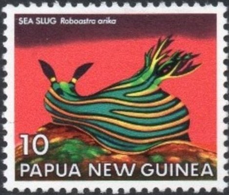 Nudibranch (Roboastra arika)