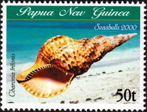 Stamp, Triton's Trumpet (Charonia tritonis), Papua New Guinea,  , Shells
