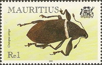 Stamp, Weevil (Cratopus striga), Mauritius,  , Insects