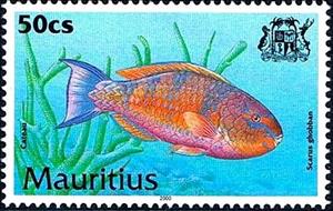 Stamp, Blue-barred Parrotfish (Scarus ghobban), Mauritius,  , Fishes