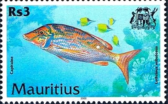 Spangled Emperor (Lethrinus nebulosus)