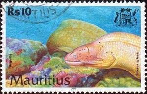 Stamp, Gray Moray (Siderea grisea), Mauritius,  , Sea Life, Animals (Fauna), Fishes