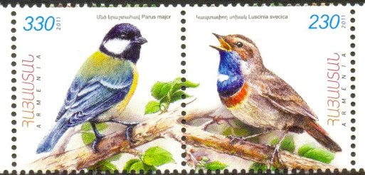 Bluethroat (Luscinia svecica), Great Tit (Parus major)