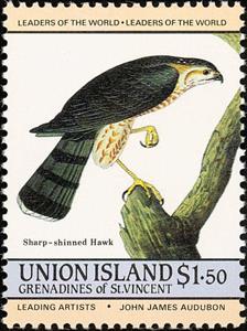 Stamp, Sharp-shinned Hawk (Accipiter striatus), Saint Vincent and The Grenadines,  , Birds, Birds of Prey, Animals (Fauna)