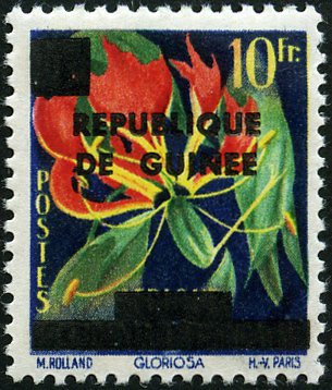 Gloriosa simplex