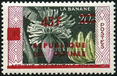 Bananas