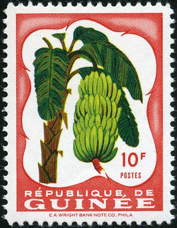Bananas