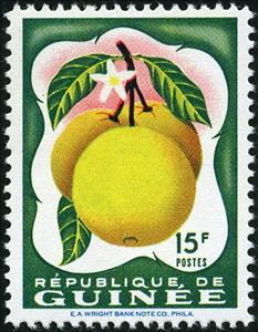 Stamp, Grapefruit, Guinea, Social Democratic Republic,  , Fruits
