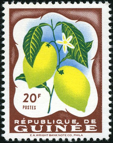 Lemon