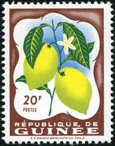 Stamp, Lemon, Guinea, Social Democratic Republic,  , Fruits