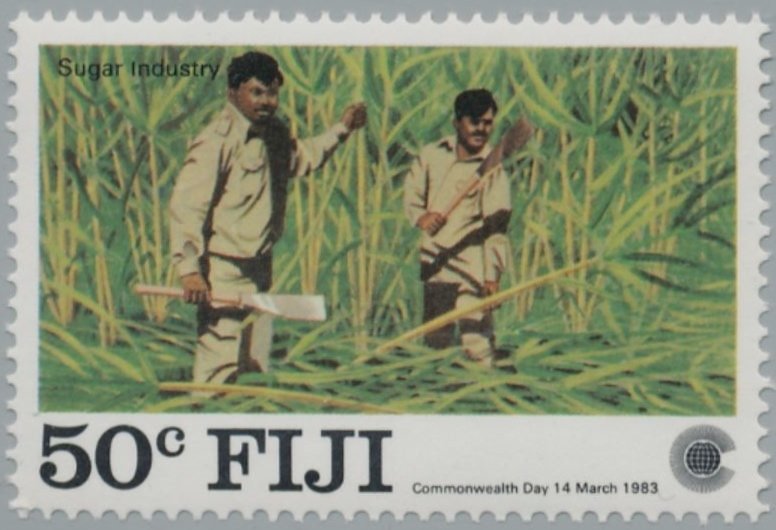 Sugar Cane Crop