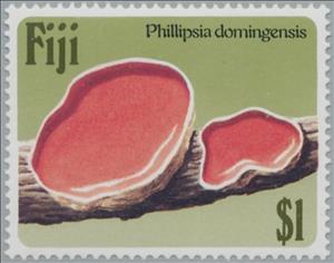 Stamp, Phillipsia Domingensis, Fiji,  , Mushrooms
