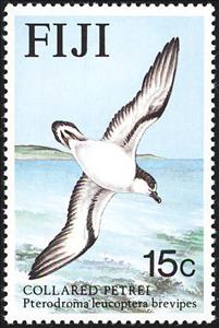 Stamp, Collared Petrel (Pterodroma leucoptera brevipes) , Fiji,  , Birds, Animals (Fauna)