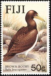 Stamp, Brown Booby (Sula leucogaster), Fiji,  , Birds, Animals (Fauna)