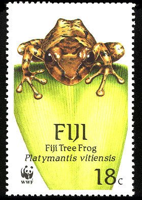 Stamp, Fiji Tree Frog (Platymantis vitiensis), Fiji,  , WWF, Reptiles, Frogs, Animals (Fauna)