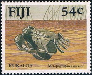 Stamp, Shore Crab (Metopograpsus messor), Fiji,  