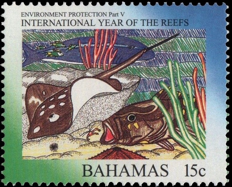 International year of the reefs
