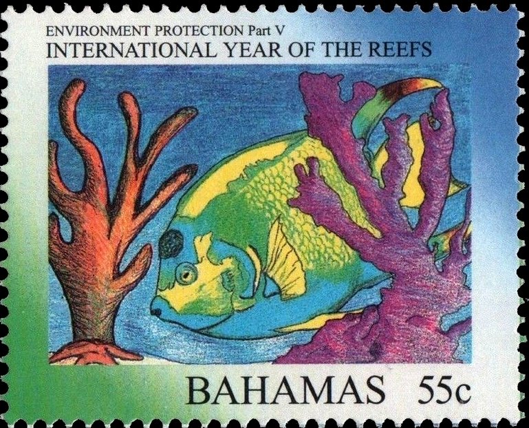 International year of the reefs