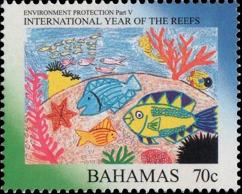 International year of the reefs