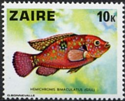 Stamp, Jewel Cichlid (Hemichromis bimaculatus), Zaire,  , Animals (Fauna), Fishes