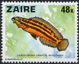 Stamp, Golden Julie (Julidochromis ornatus), Zaire,  , Animals (Fauna), Fishes
