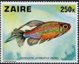 Stamp, Congo Tetra (Micralestes interruptus), Zaire,  , Animals (Fauna), Fishes