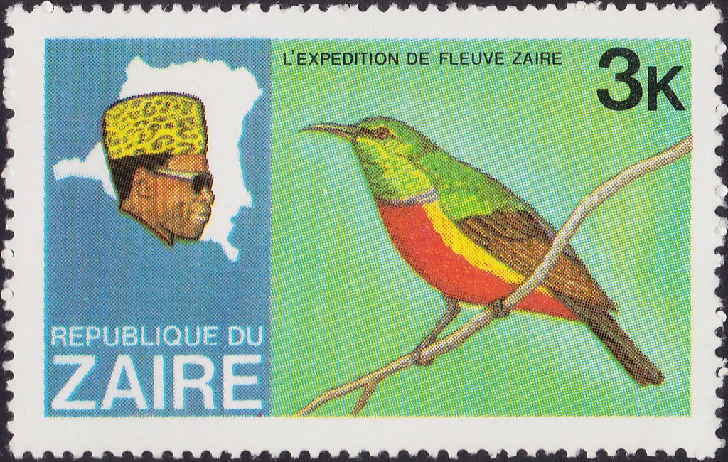 Regal Sunbird (Nectarinia regia)