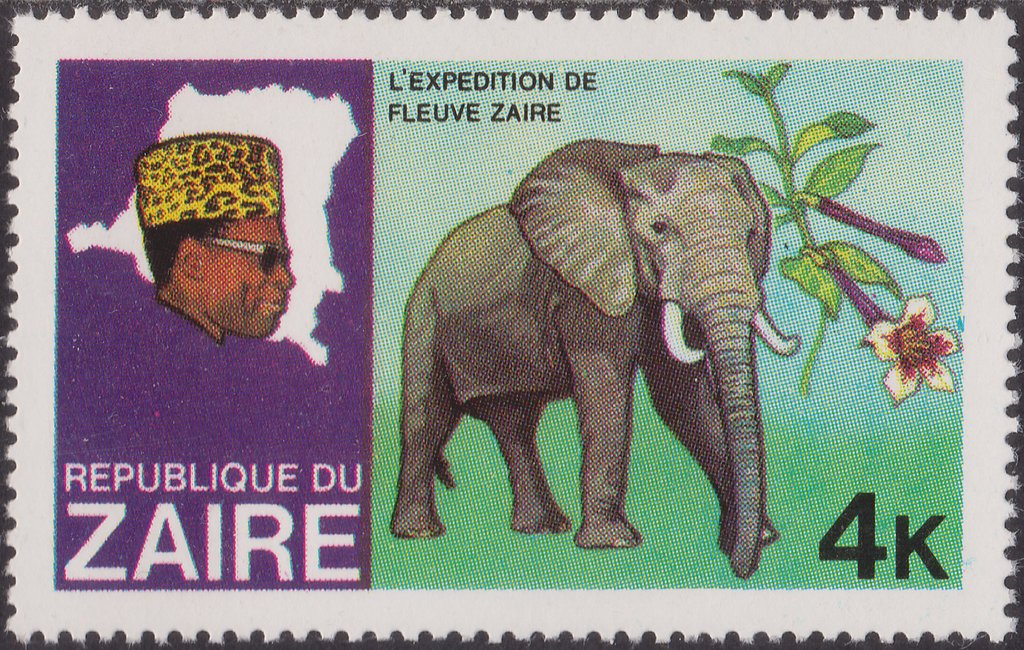 African Elephant (Loxodonta africana)