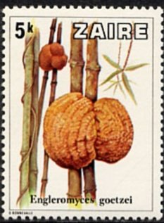Stamp, Mushrooms from Zaïre, Zaire,  , Mushrooms, Plants (Flora)