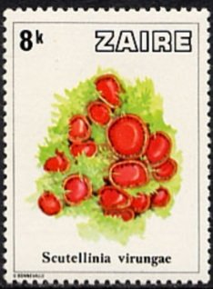 Stamp, Mushrooms from Zaïre, Zaire,  , Mushrooms, Plants (Flora)