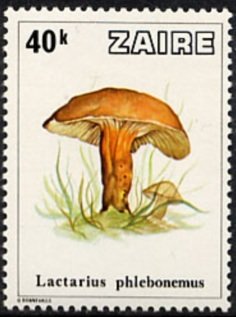 Stamp, Mushrooms from Zaïre, Zaire,  , Mushrooms, Plants (Flora)