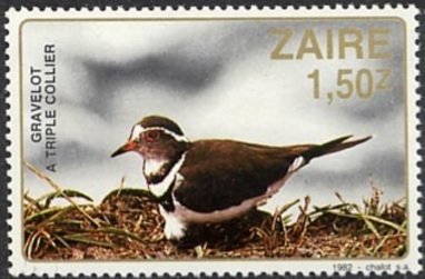 Stamp, Three-banded Plover (Afroxyechus tricollaris), Zaire,  , Birds, Animals (Fauna)